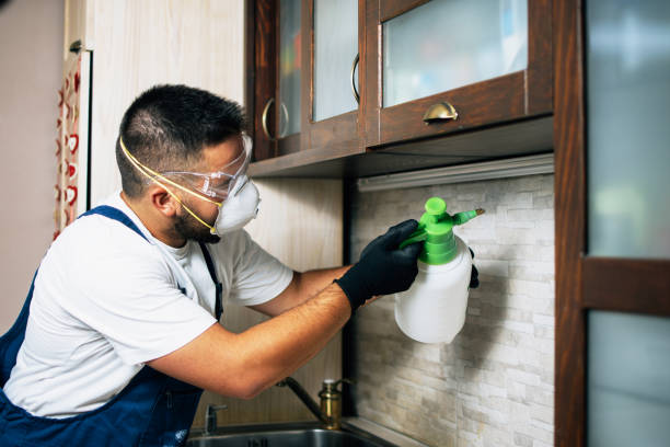 Best Wasp Removal Services  in Black Earth, WI