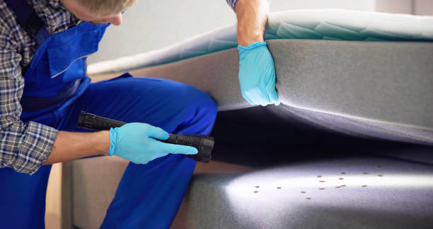 Best Affordable Pest Control Services  in Black Earth, WI