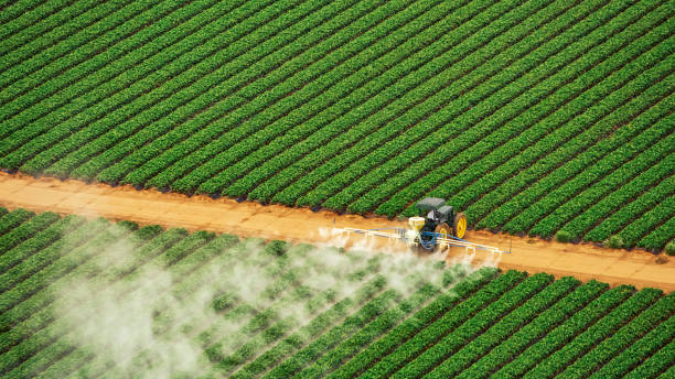 Best Pest Prevention Services  in Black Earth, WI