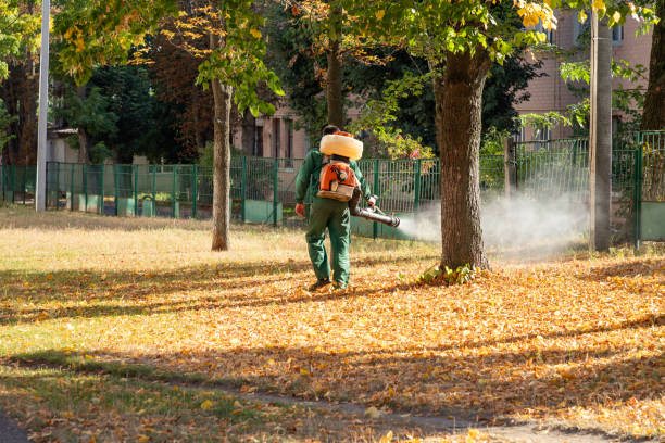Best Residential Pest Control  in Black Earth, WI